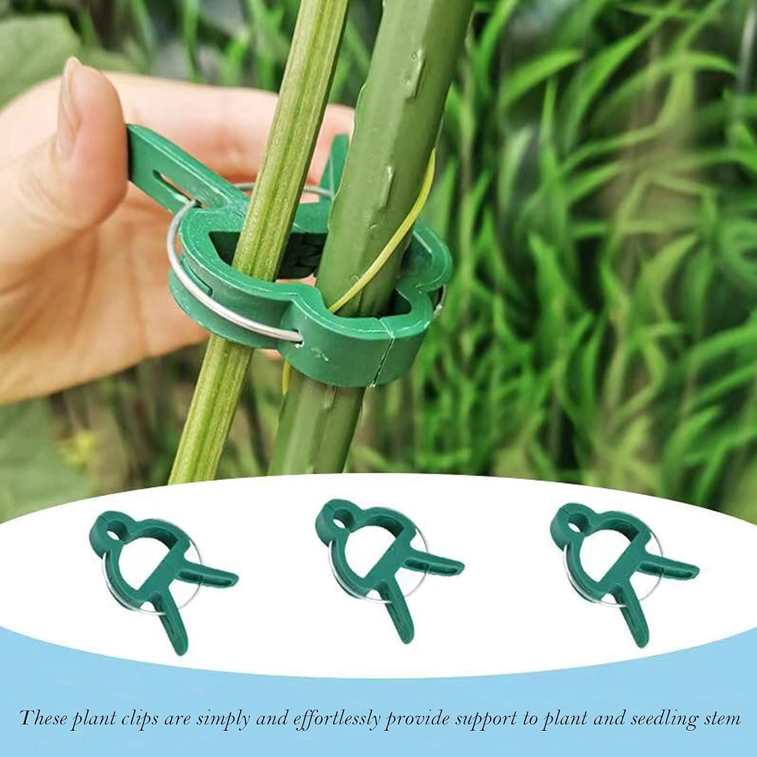 Taasmoog Garden Plant Clips - Image 4