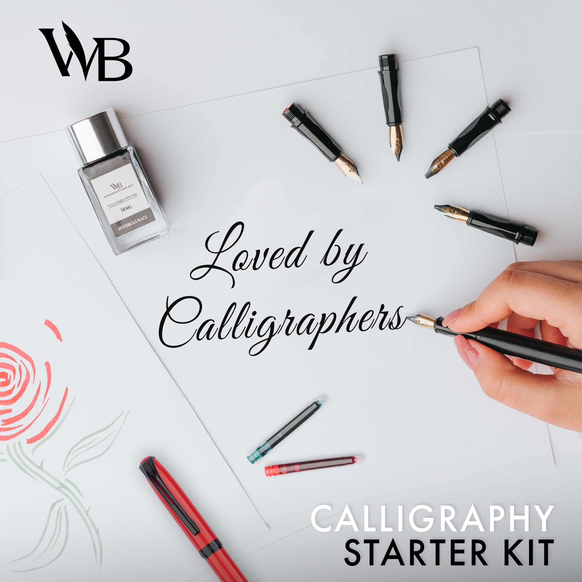 Beginner Calligraphy Kit - 2 Pens & 5 Nibs -5