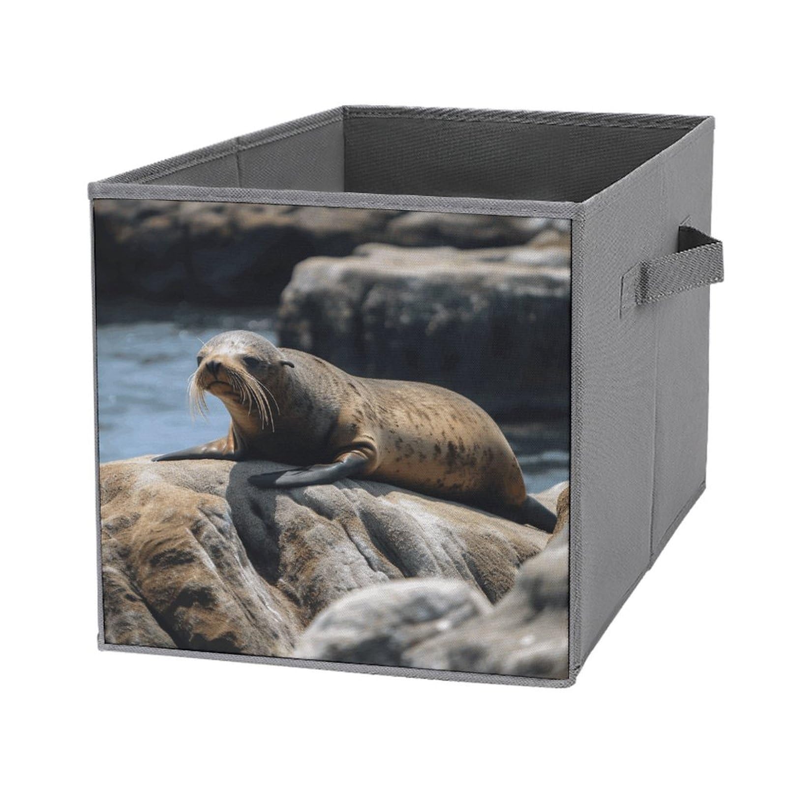 Cubes de rangement pliables pour vêtements et organisation de l'armoire