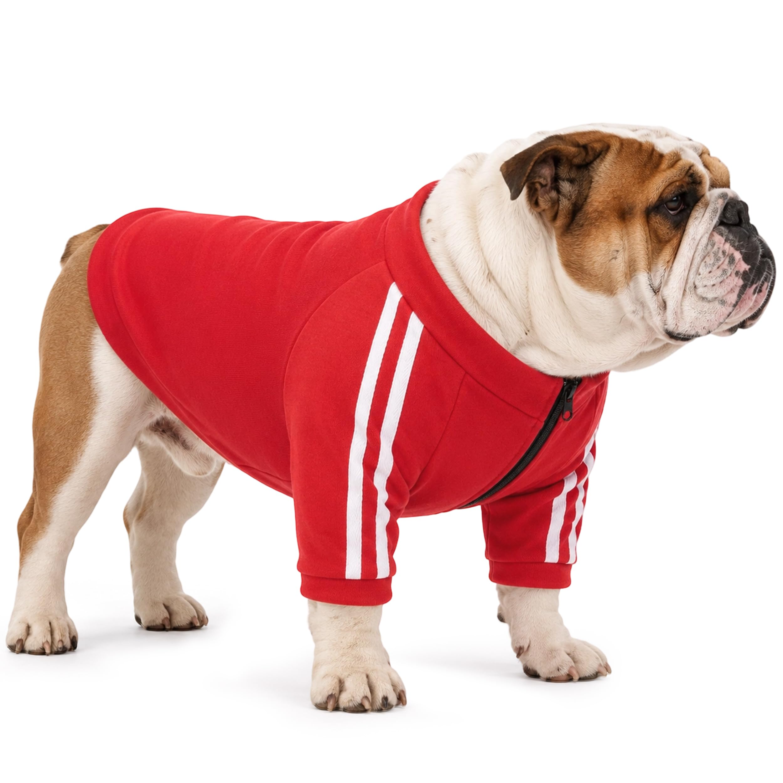 PUMYPOREITY Felpa con cappuccio per cani morbida e calda maglione invernale, rosso, XL