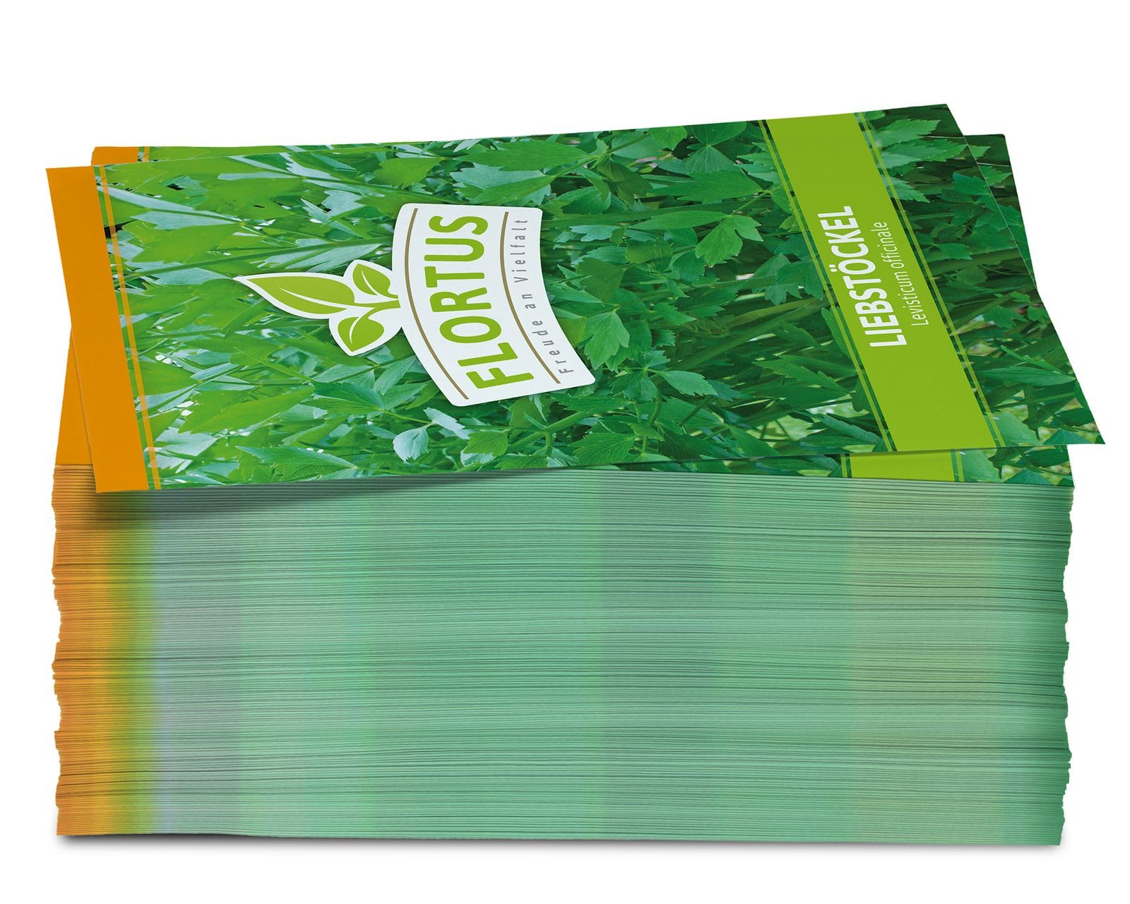 FLORTUS 2000-0052-100x Liebstöckel (100 Tütchen) (Liebstöckelsamen)