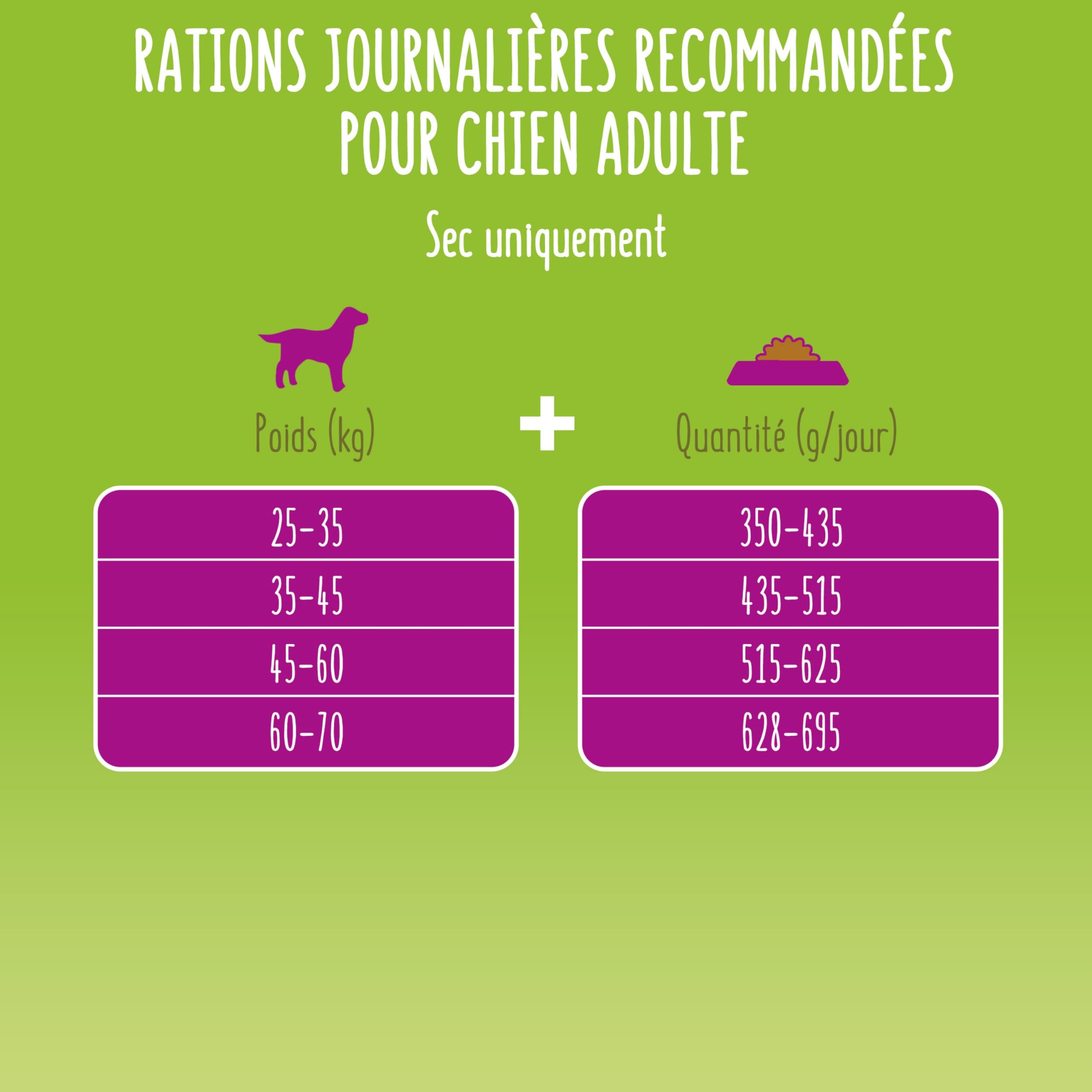 FRISKIES | Maxi | Chien | Croquettes pour Chiens Adultes de Grande Taille | au Boeuf | Source de protéines de Haute qualité | Sac | 12 KG