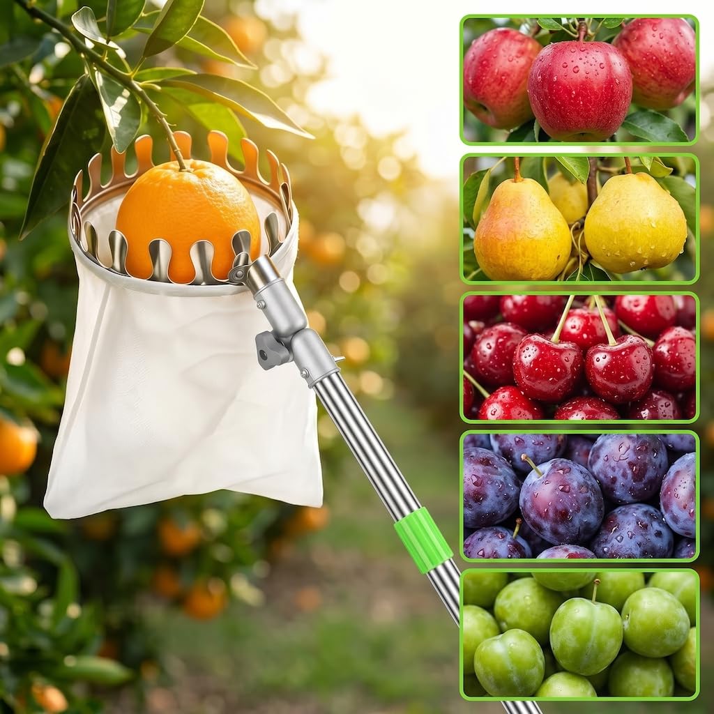 4.2m Obstpflücker mit Teleskopstiel, Apfelpflücker Obstpflücker, Kirschenpflücker mit Baumwollbeutel, Edelstahl Obstsammler für Kirschen, Kirschen Pflücker Pflaumenpflücker, Pflaumenpflücker (4.2m)