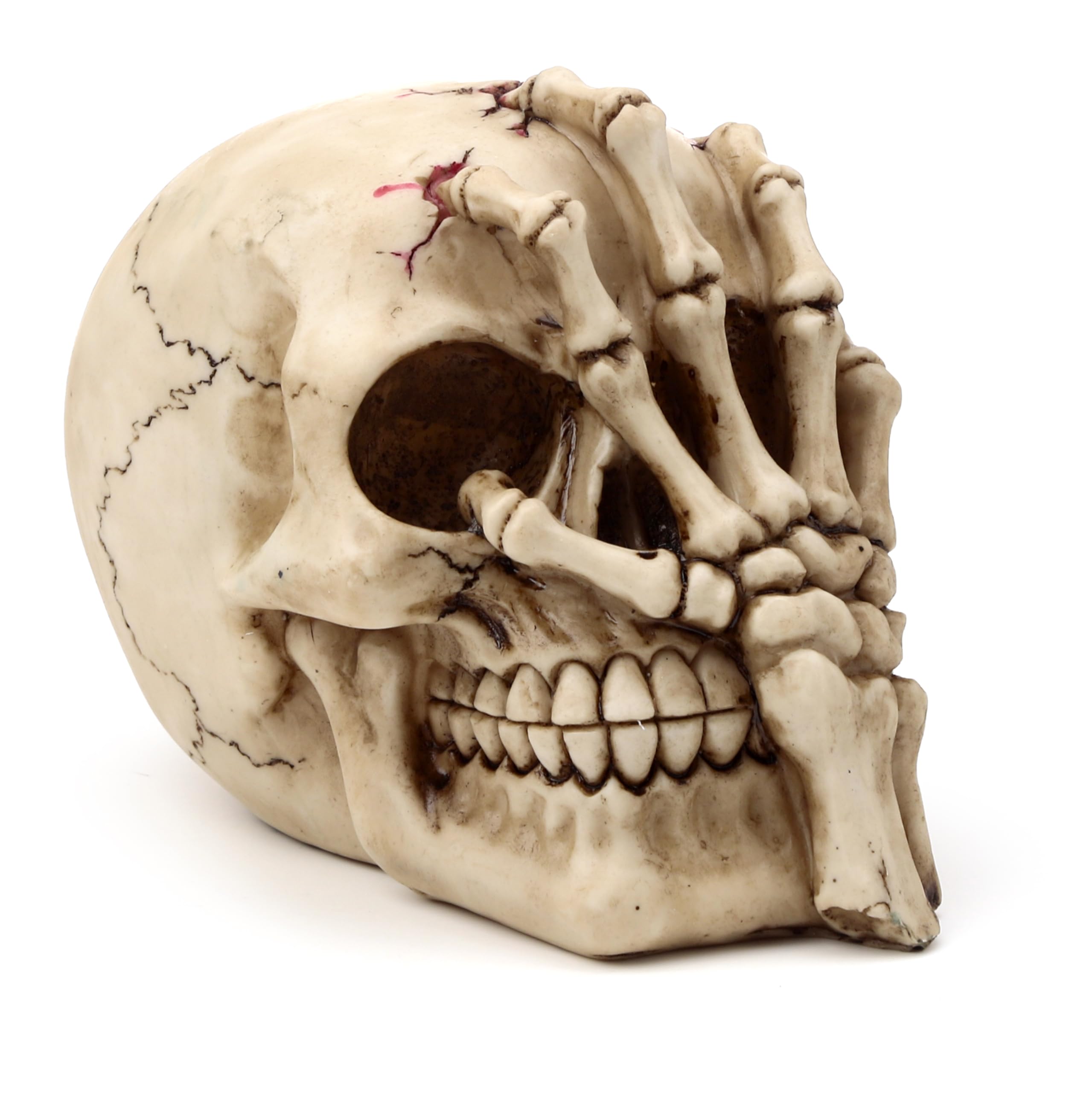 Puckator Gruesome Skull Head with Skeleton Claw Hand
