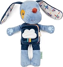 Lilliputiens Jules Le Chien 83663 - Peluche con Imagier (26 cm), color azul