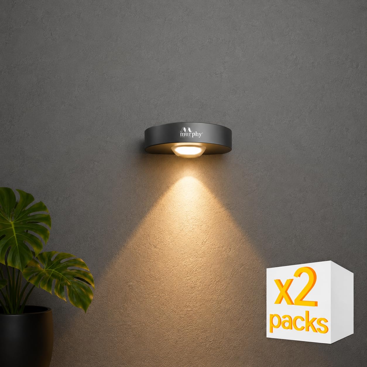 Murphy Areo 1-Way Waterproof LED Wall Light – Warm White, Aluminum Body, 2-Year Warranty, Indoor & Outdoor – Pack of 2