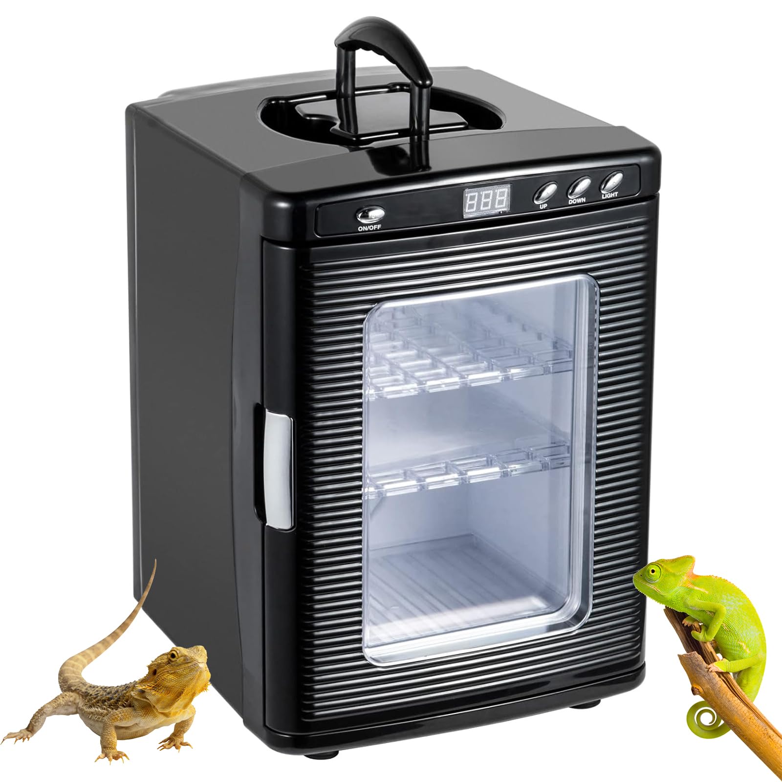 Incubadora de Huevos para Reptiles, Caja de termostato de refrigeración y calefacción de Laboratorio científico de 25 l con 5-60 °C y Pantalla LED y Mango, incubadoras de Laboratorio científico Black