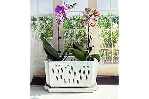 Elegant 10-Inch Rectangle Ceramic Orchid Pots with Drainage Holes and Matching Saucers in Shiny White