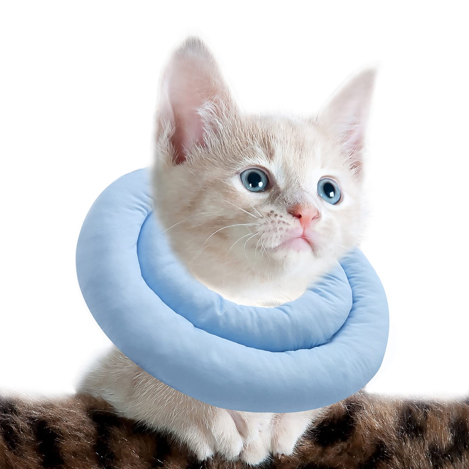 Collerette Chat Anti-Léchage Réglable | Collier Élisabéthain Post-Opératoire | Coton & Polyester Doux | Taille Ajustable