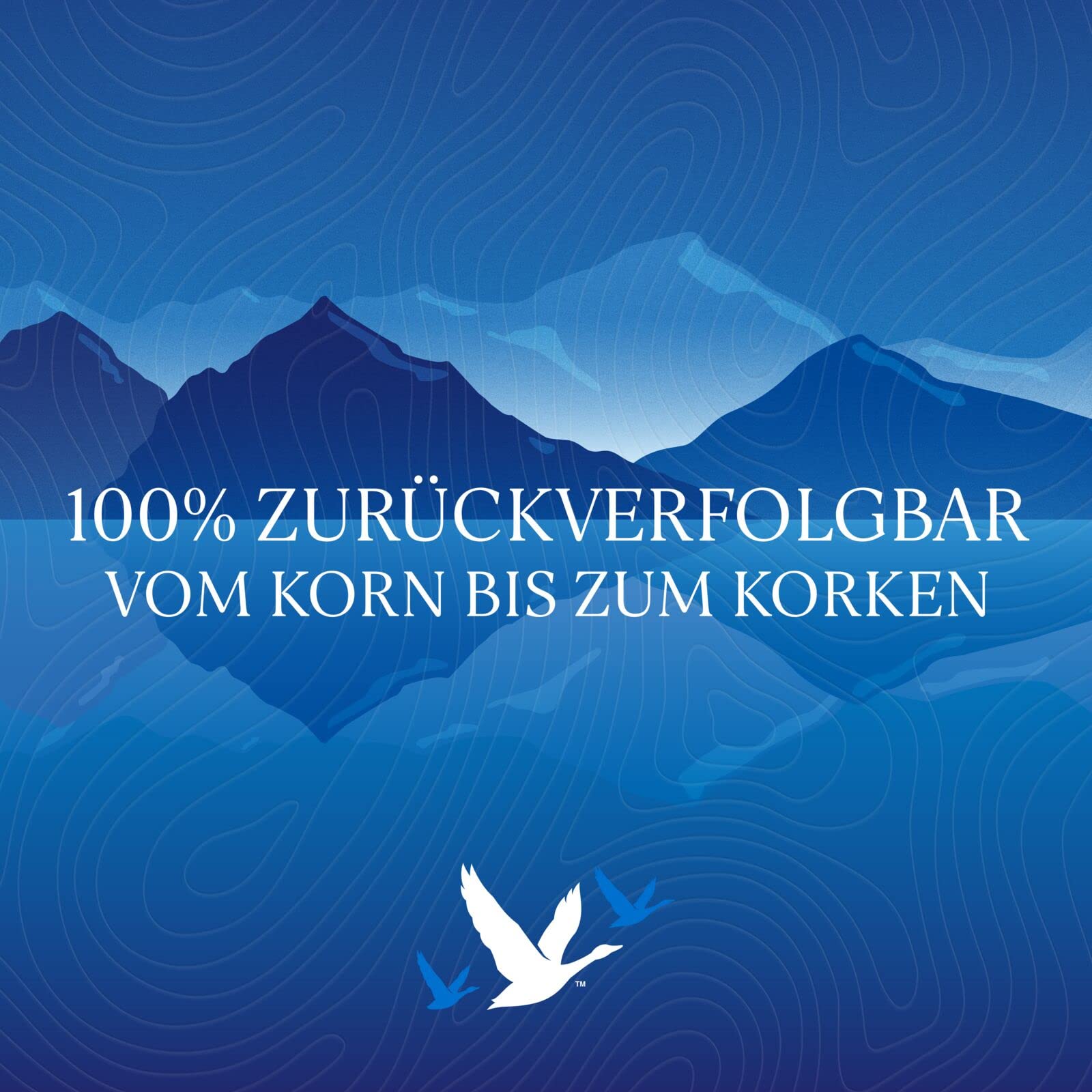 Grey Goose Premium Vodka 40% Vol. 3l aus Frankreich