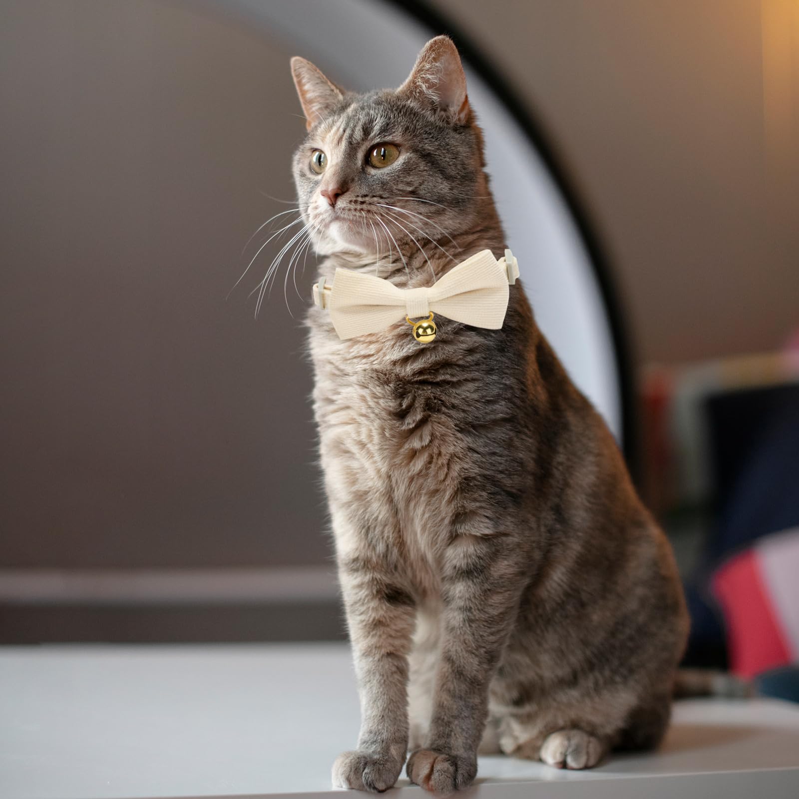 YUDOTE Ultra-soft Collar Natural Cotton Corduroy Made for Cats with Sensitive Skin,Lightweight Feline Collars with Quick-release Buckle and Removeable Bow-tie,White Pack of 1 - Image 2