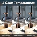 Rechargeable Cordless Table Lamp Set - 2 Pcs Portable Touch Lamps, 3 Color Stepless Dimming Bedside Lamp, Outdoor LED Lamp for Bar, Patio, Camping