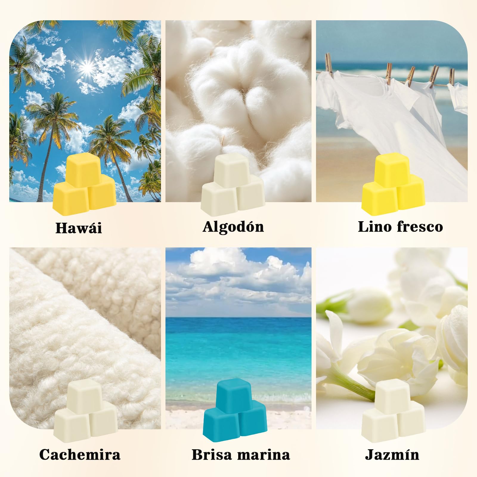 SCENTORINI Set de Cera Perfumada, Cubos de Cera Perfumada para el Hogar, 12 Fragancias, Bloques de 35 g de Cera de Soja Natural con Aceites Esenciales, Regalo Ideal para Hogar y Quemadores