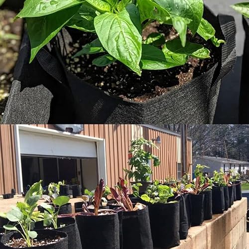 Miniatura 5 de Bolsas de cultivo de 5 galones, macetas de tela de alta calidad de 5 galones con asas, bolsas de cultivo de tela de jardín resistentes y