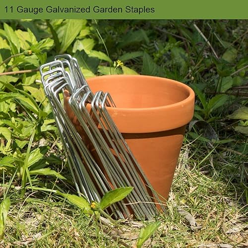 Miniatura 4 de AAGUT Estacas de jardín, grapas de paisaje, paquete de 200 estacas galvanizadas de calibre 11 de 6 pulgadas para valla de perro, tela de barrera de