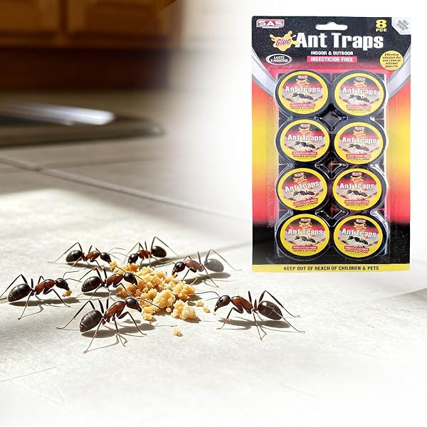 8 Stück Ameisenköderdose Set – Effektiver Ameisenköder & sichere Ameisenfalle, Geruchslos, Sicher für Kinder & Haustiere, Ungiftig und ideal für Küche, Haus sowie Vorratskammer (8 Stück) - 5