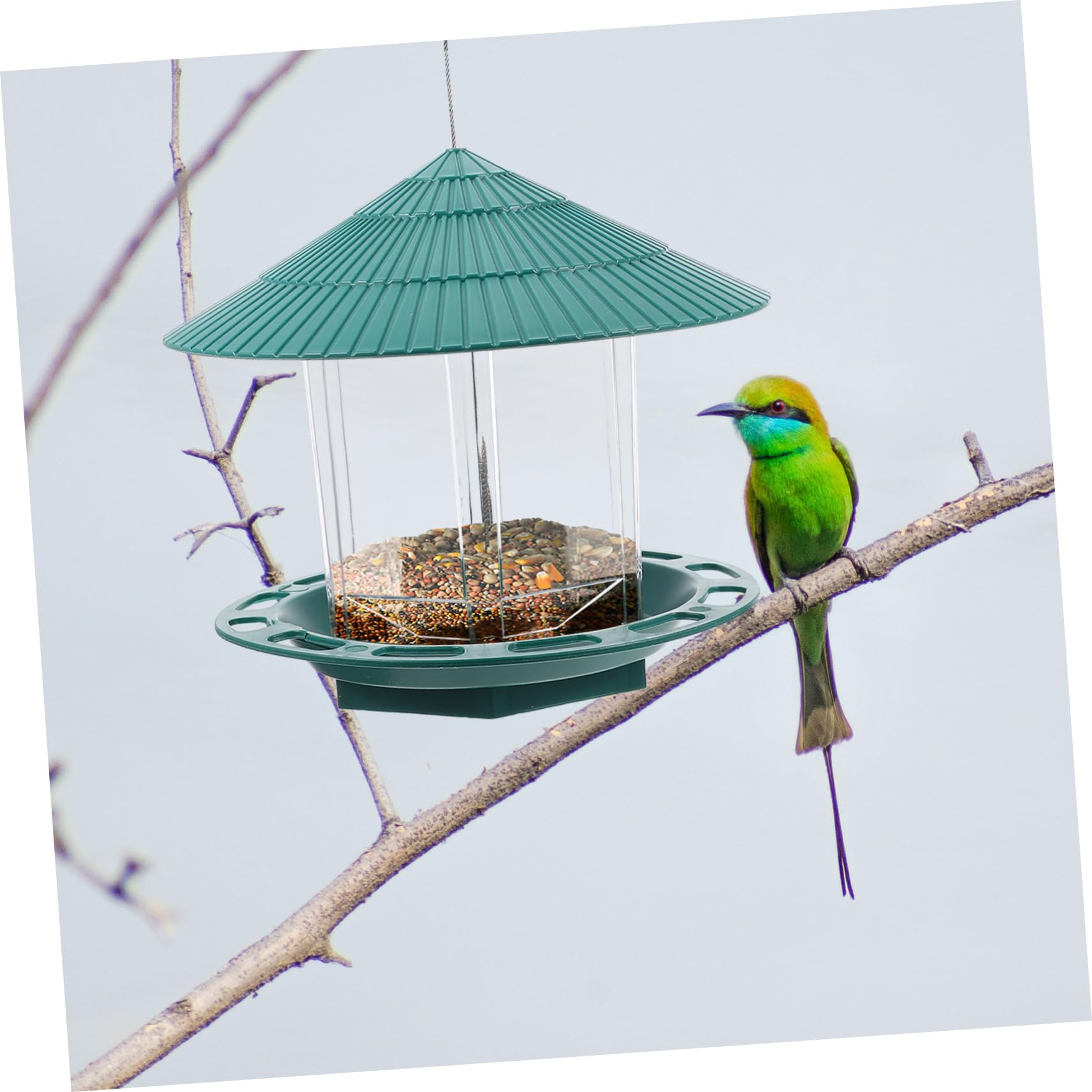 Transparenter Vogelfutterspender für Wasserdichter Vogelfutterbehälter aus Kunststoff Futterstation für Wildvögel im Garten Aufzuhängen für Ganzjährige Fütterung