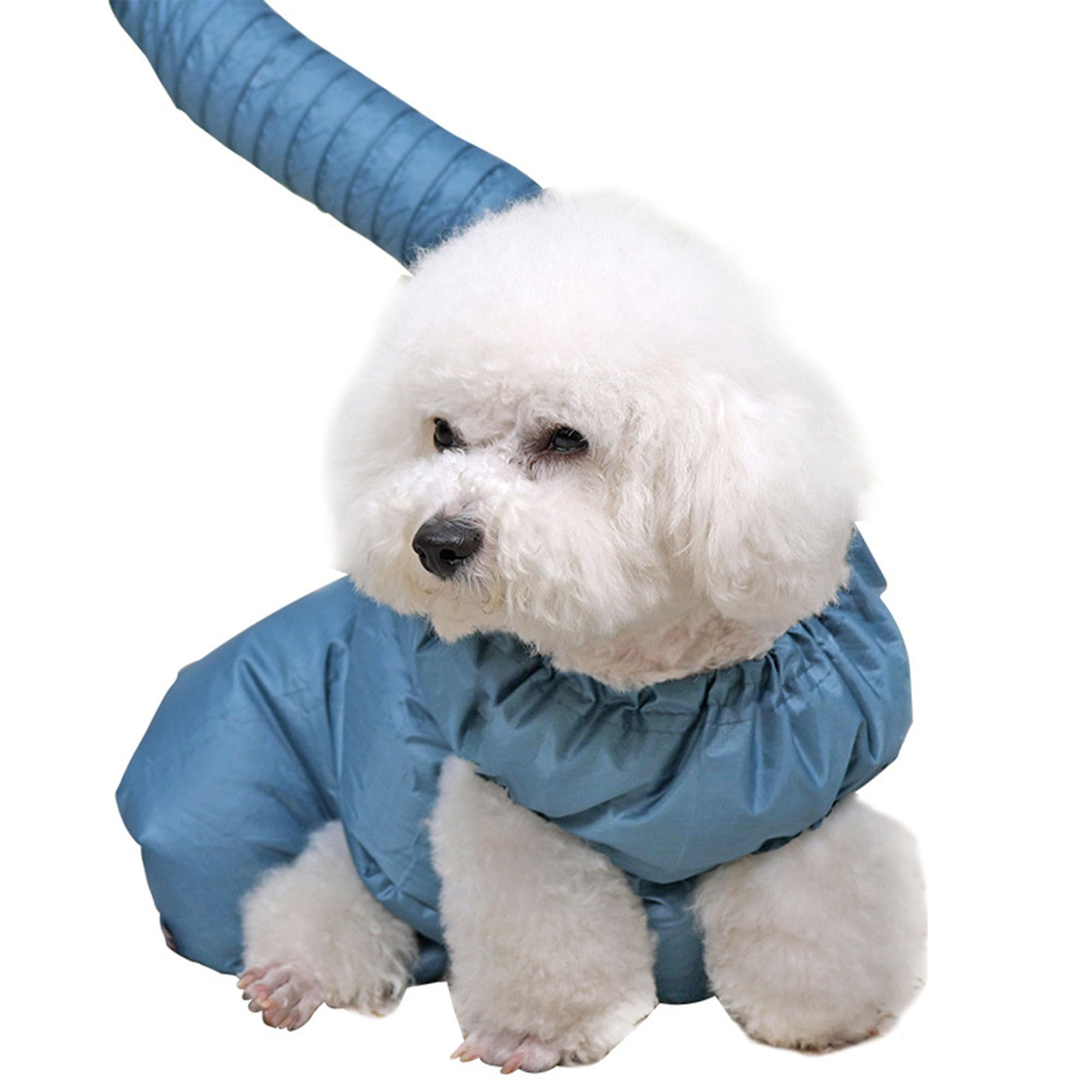 JIAMIAN Caja de Secado de Mascotas, Ropa Seca de Perro Ajustable, Bolsa de Soplado Plegable, Horno Soplador de Agua para Perros Pequeños y Medianos y Grandes(L)