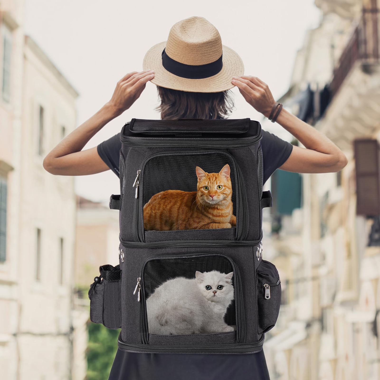 Mochila para 2 Gatos 2 en 1, Doble Compartimento con Divisor Extraíble, Transportín para Gato Grande hasta 12 kg, Portátil para Viajes y Paseos, Negro