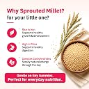 Hungry Koala No Added Sugar Millet & Apple Cereal | Cereal WIth No Preservative Or Additives Or Maida| Wholesome Porridge | 200 Grams gallery image