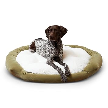 South Pine Porch Maddie Donut Dog Bed with Removable Center Pillow, Large, Moss