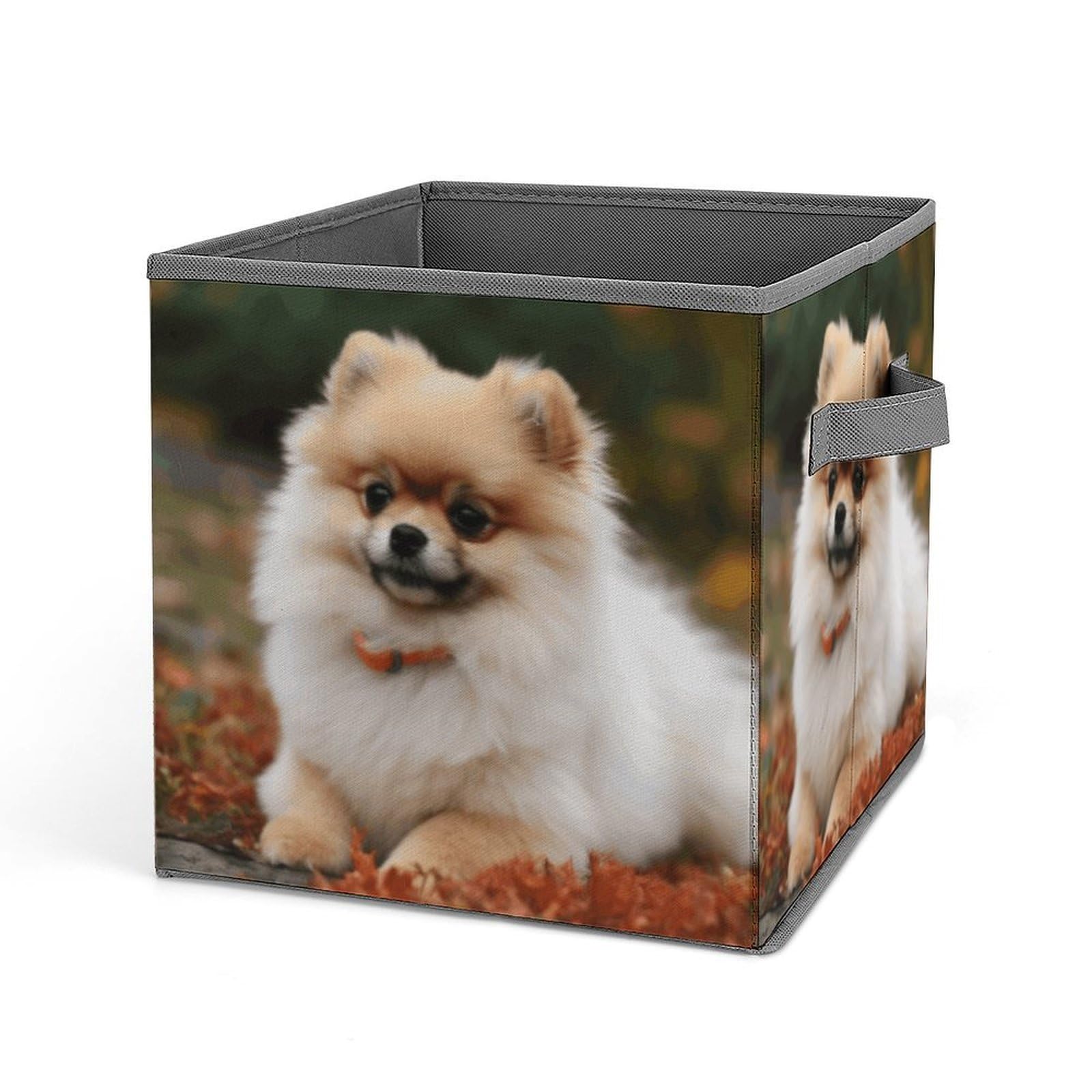 VstaDank Short Haired Pomeranian Dog Storage Bin Collapsible Storage Cubes Organizer Oxford Cloth Storage Box with Dual Handles Large Stackable Closet Storage Bins for Sheets Hat Sweater
