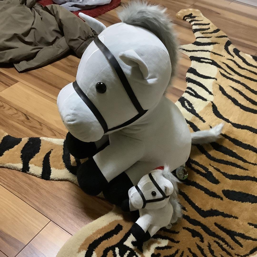 Amazon.co.jp: おすわりホース セット 北海道ノーザンホースパーク