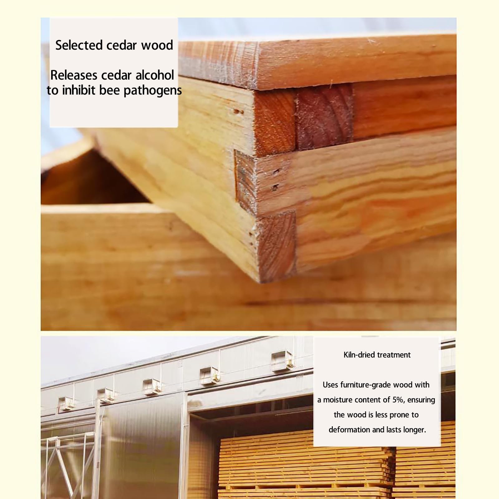 Ruche de bourdon en bois à 10 cadres, recouverte de cire d'abeille épaisse, 8 feuilles de fondation encadrées (non assemblées), convient comme kit de démarrage pour