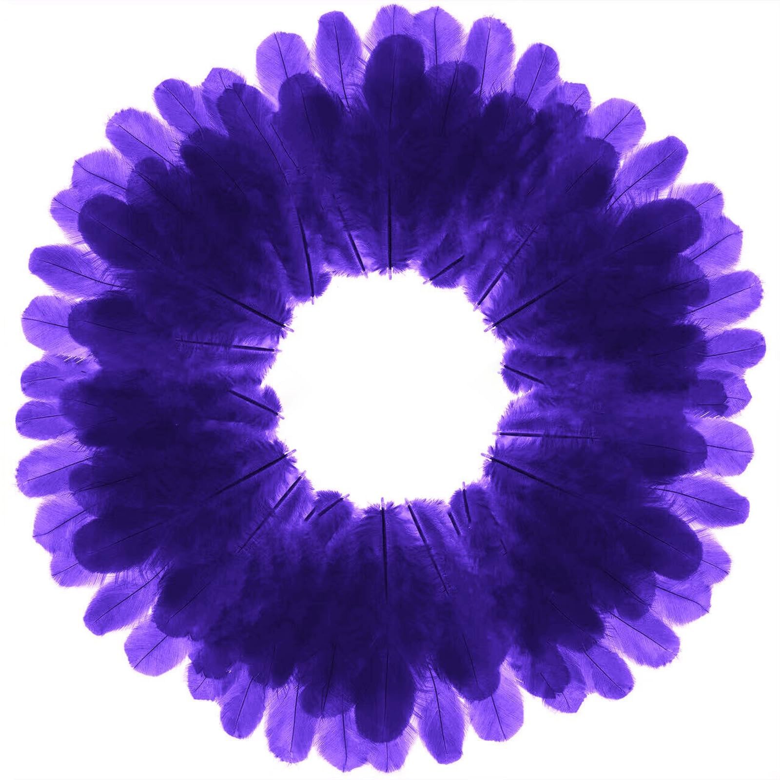 Plumes de coq violettes de 7 à 12 cm pour attrape-rêve et décoration mariage