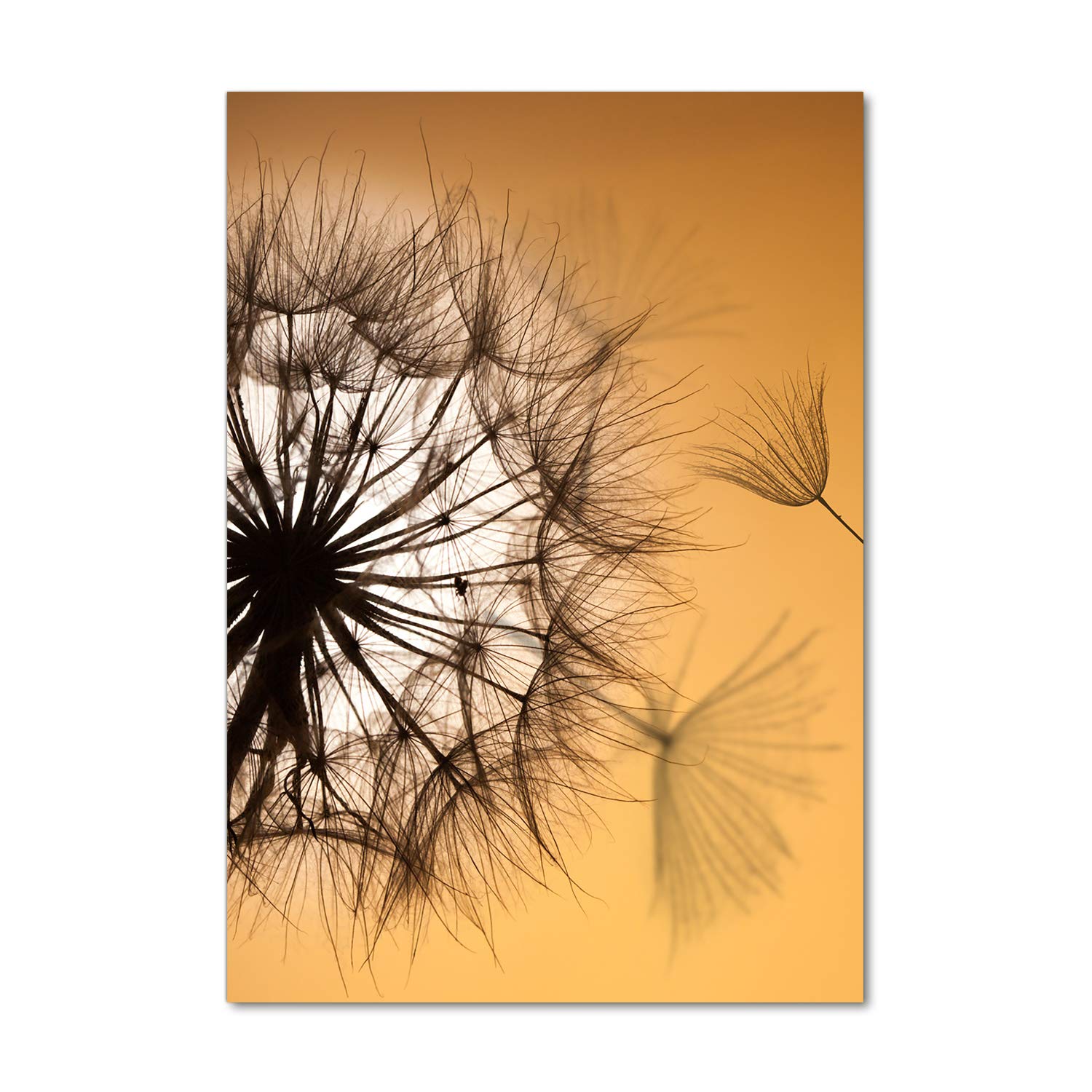 Tableau en verre acrylique Tulup 70x100 cm avec impression de pissenlit orange mural