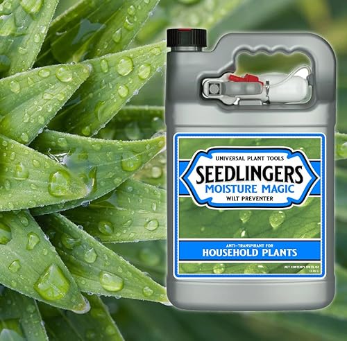 Miniatura 2 de Moisturize Recarga de galón