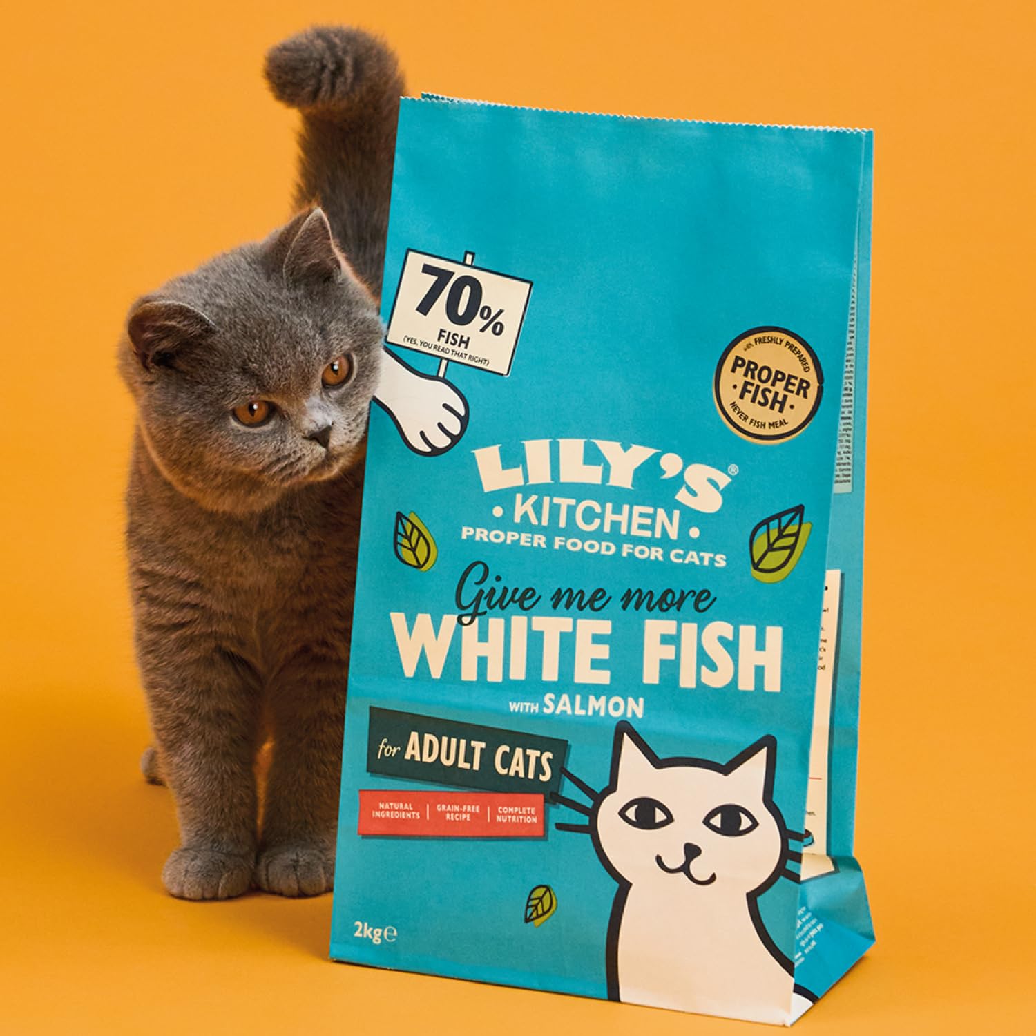Lily's Kitchen Trockenfutter für Erwachsene Katzen – Weißfisch mit Lachs, 3.2 kg. Getreidefreie Rezeptur, hergestellt aus natürlichen Zutaten, Mit frisch zubereitetem Fisch hergestellt