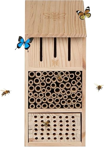 Casa de abejas de madera para jardín, colmena de abeja de madera natural hecha a mano para mariquitas, crisopas, mariposa, abeja, insecto, hotel de