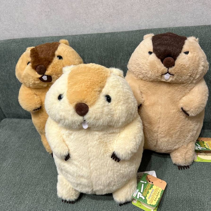 マーモットのもっとっと　ぬいぐるみ　5個セット マーモットのもっとっと ぬいぐるみ 5個セット 株式会社