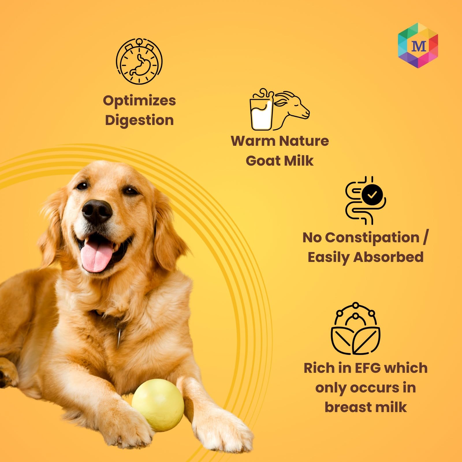 Medfly Healthcare Goat Milk + Multivitamin + Colostrum (Immunity Booster) for Dogs | Essentials Vitamins & Minerals for Immunity Booster, Bones, Skin, Hair & Gut Health for Dogs - Pack of 15 Sachets 2