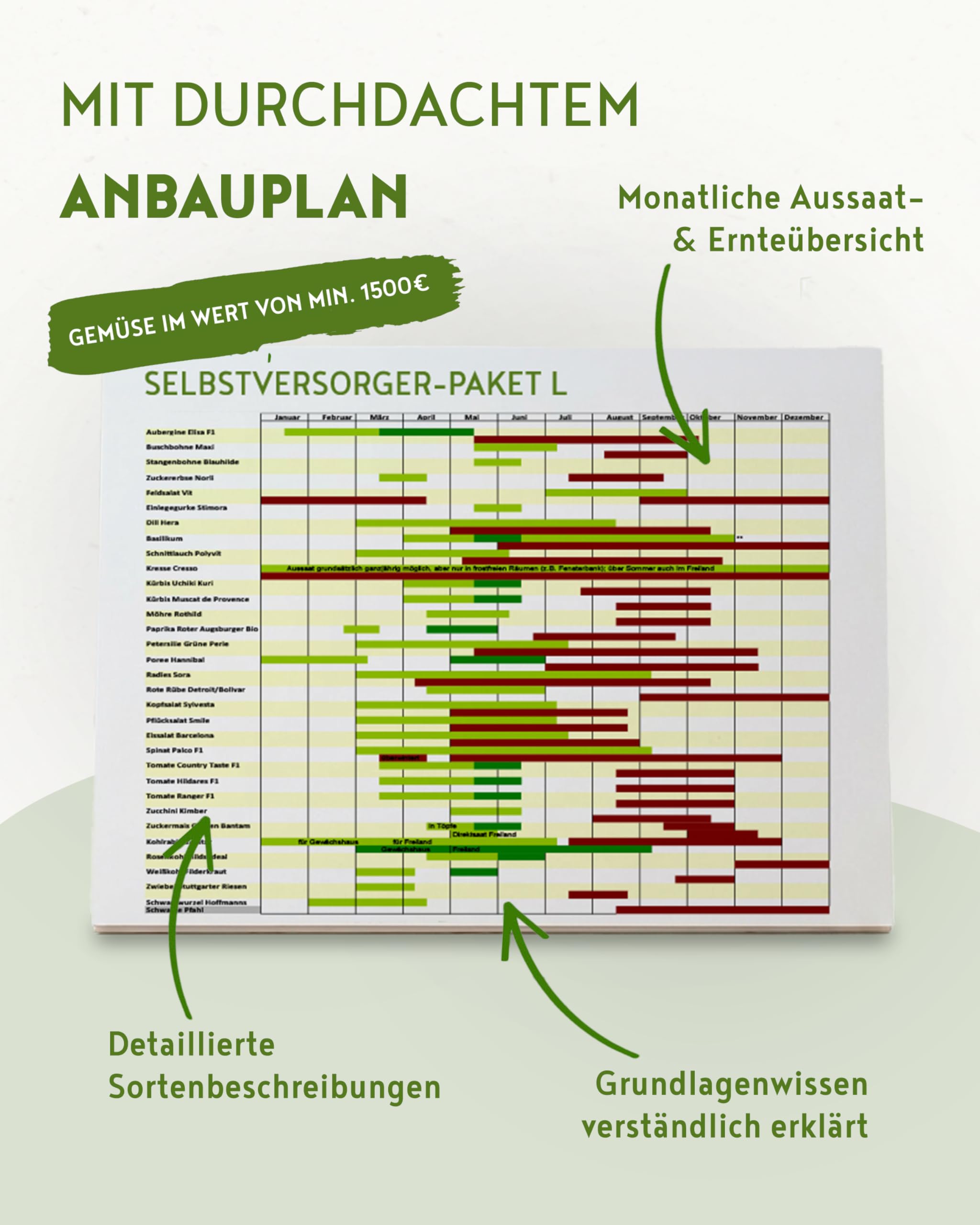 Selbstversorger Saatgut Box L – 32 Sämereien | Einzeln in Keimschutztüten verpackt, Holzbox inkl. Pikierholz, Etiketten & Anbauplan