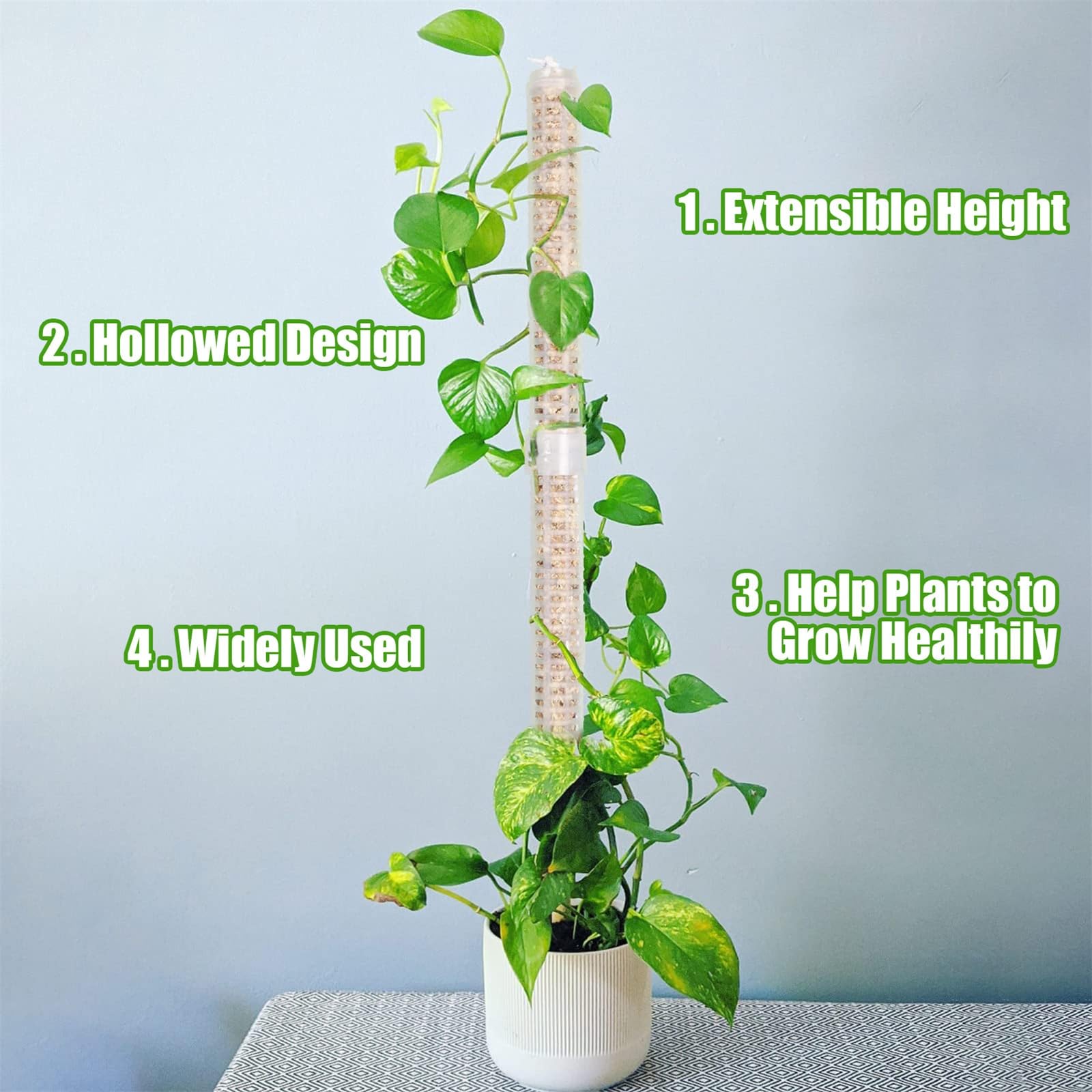 Amazon.co.jp: Moss Poles for Climbing Plants - Stackable