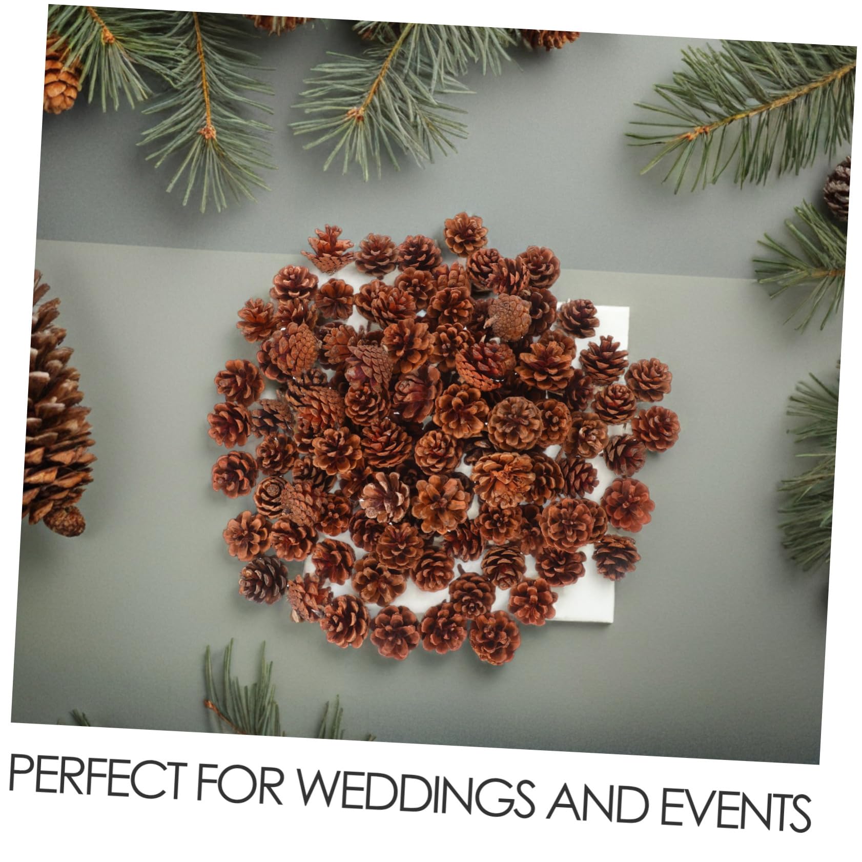 IMIKEYA 130stücke Mini-tannenzapfen Kleine Tannenzapfen für Herbst-DIY-bastelarbeiten Thanksgiving-vasenfüller Winter-weihnachtsdeko Hochzeits-Dekorationen