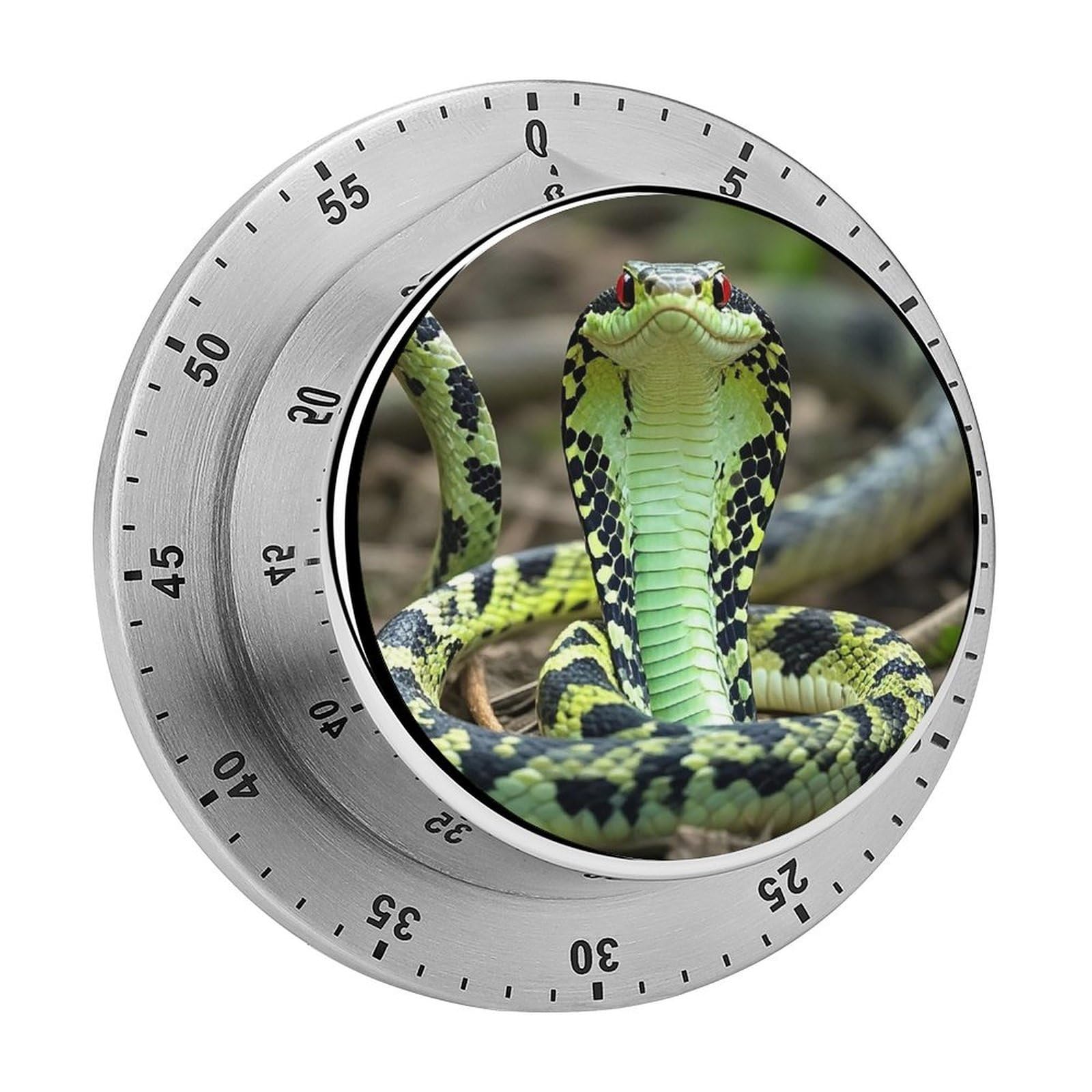 Cobra Snake Timer Fashion Visual Timers Wind Up 60 Minutes Desk Timers Stainless Steel Magnetic Timer Countdown Clock No Batteries Loud Alarm for Kitchen Chef Cooking