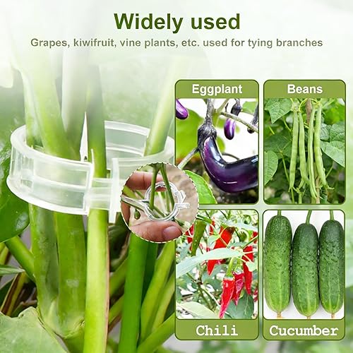 Miniatura 4 de Secured Plastic Plant Clip, 2026 Plant Support Clips Garden Climbing Vines Fixing Clip, Upgraded Plant Support Clips Reusable Garden Clips Trellis