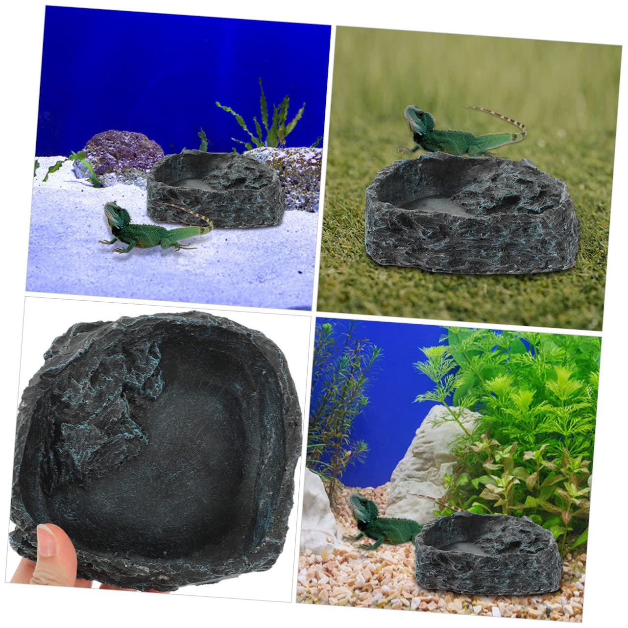 Cuenco de agua para reptiles Cuenco de alimentación for reptiles, Beard, 5 piezas, bandeja de agua for animales, cuenco de comida for lagartos, plato de comida for reptiles, plato de agua for serpient