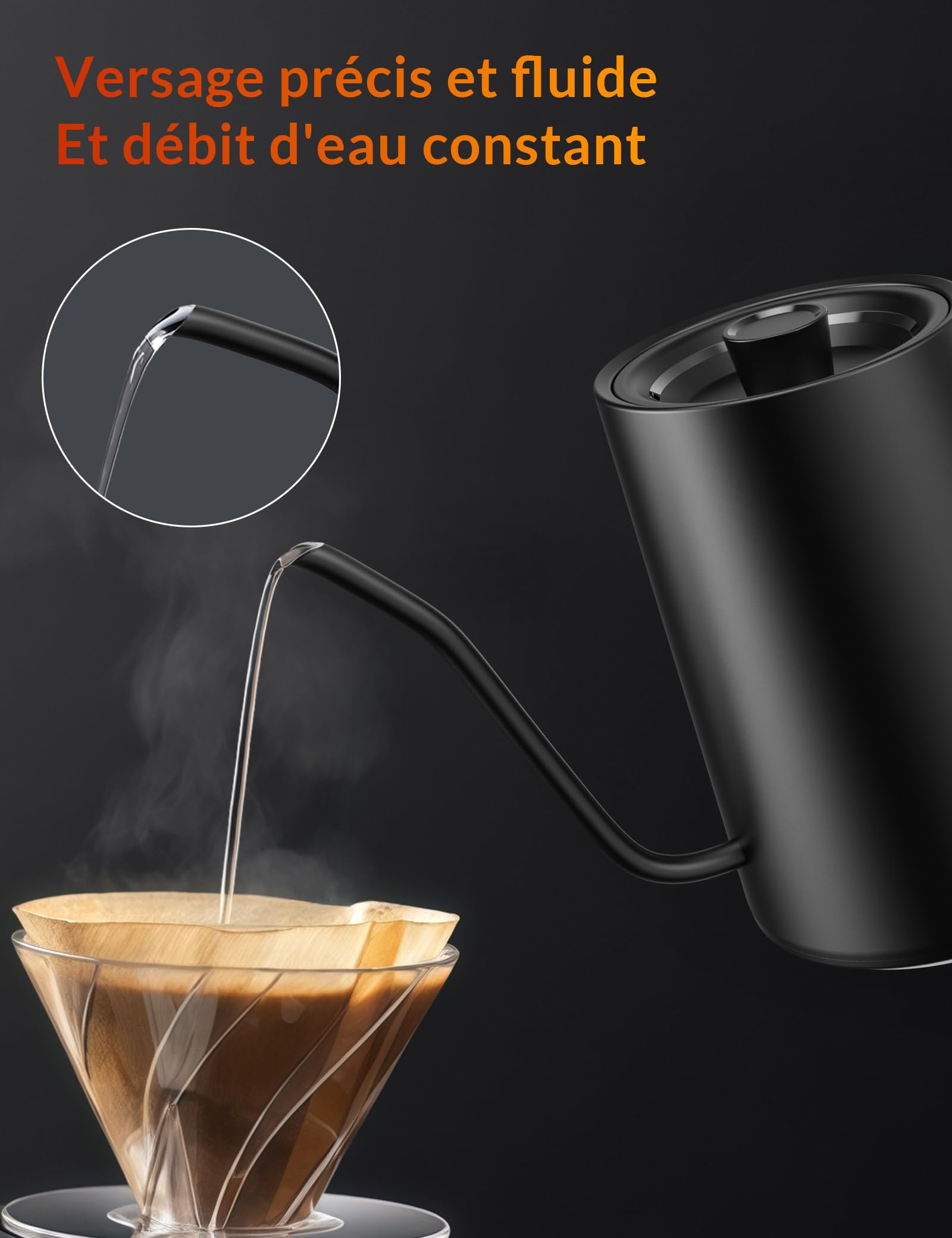 Bouilloire électrique en acier inoxydable avec réglage de la température, Bouilloire à col de cygne, Fonction de maintien au chaud pendant 24 heures, Bouilloire électrique de 1200W avec