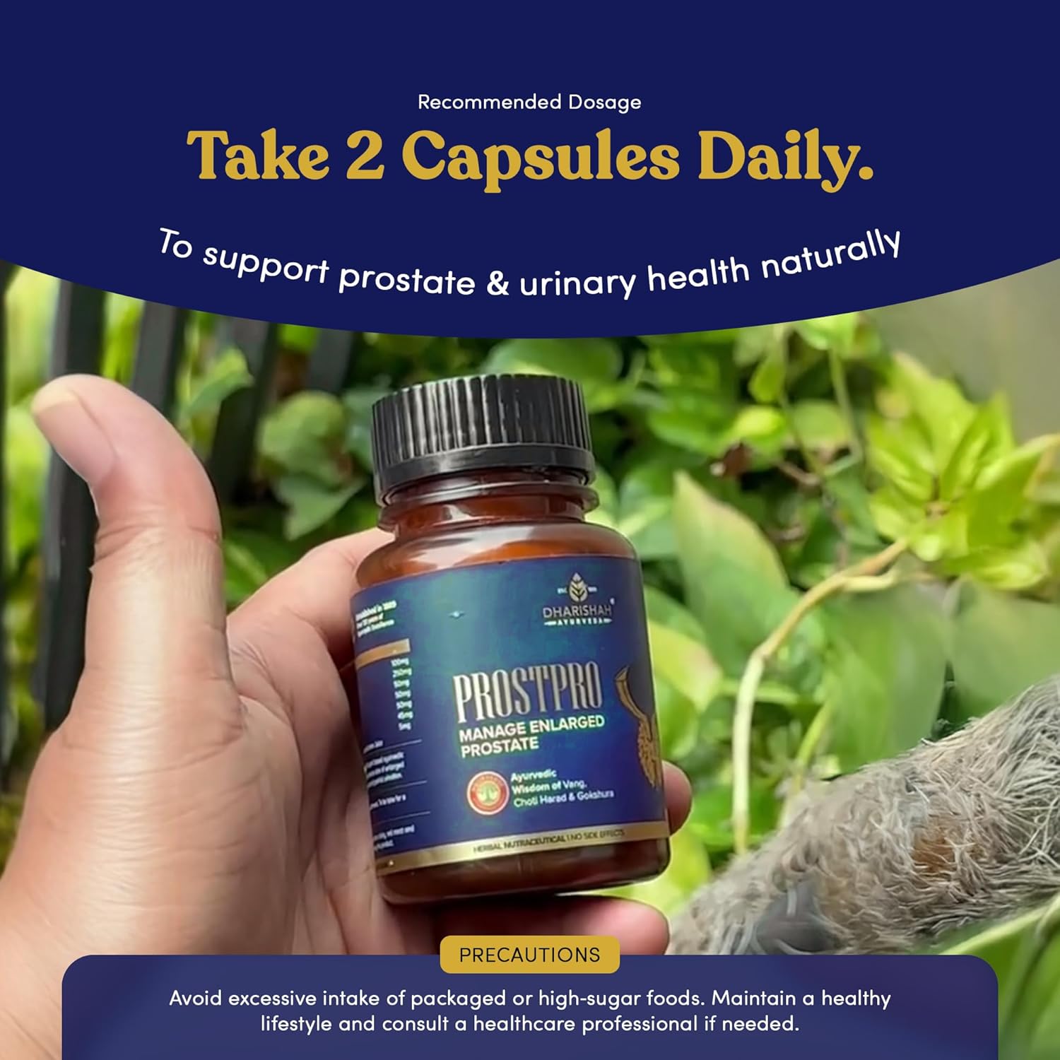 Advanced Non-GMO Prostate Health Supplement for Men with Saw Palmetto, Tribulus Terrestris - Traditional Herbal Blend Supports Male Urinary Tract Health & Bladder Control - 60 Vegan Capsules - Image 5