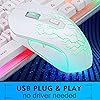 Product Photo 2