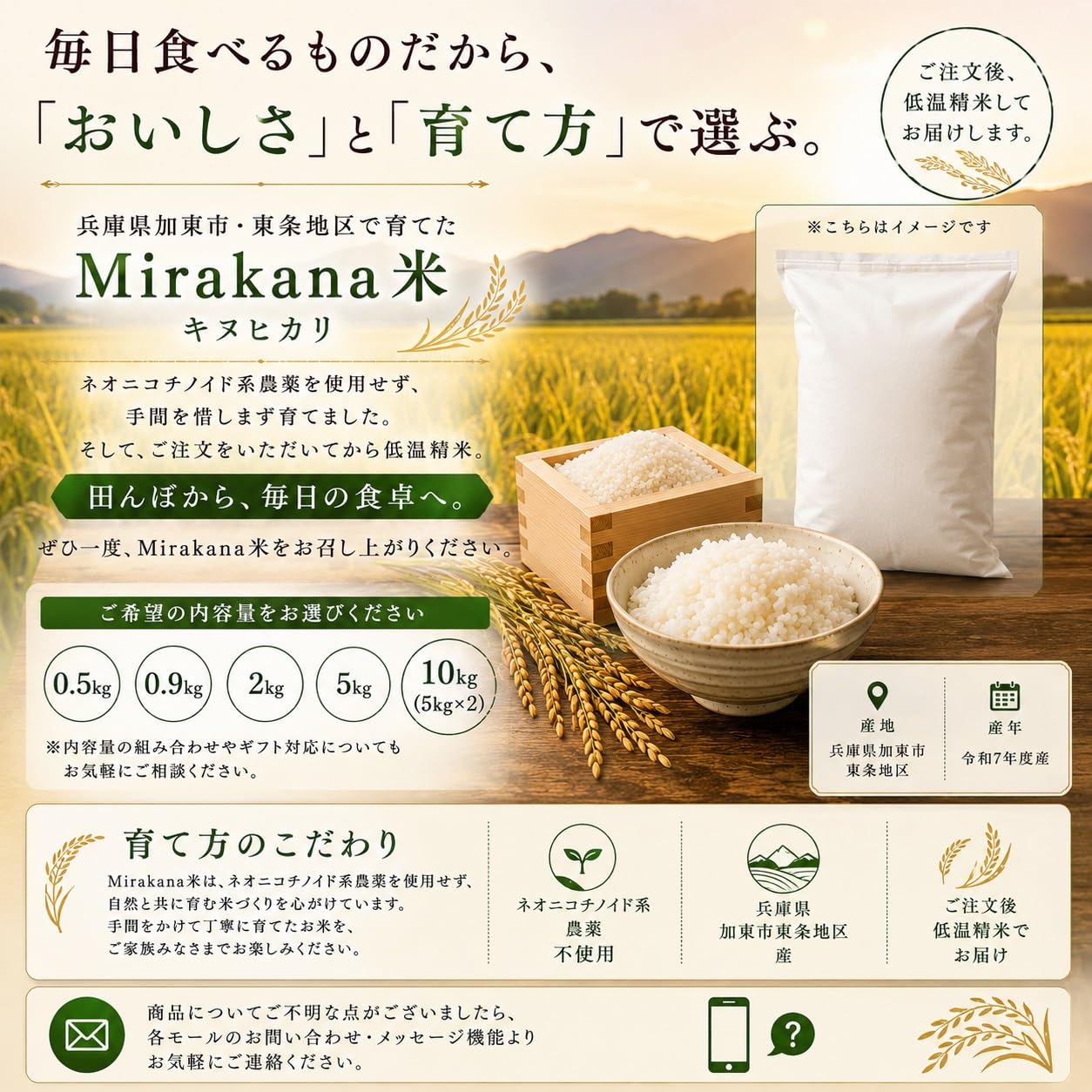 Amazon.co.jp: 【Mirakana】令和7年産 キヌヒカリ 兵庫県産 Mirakana