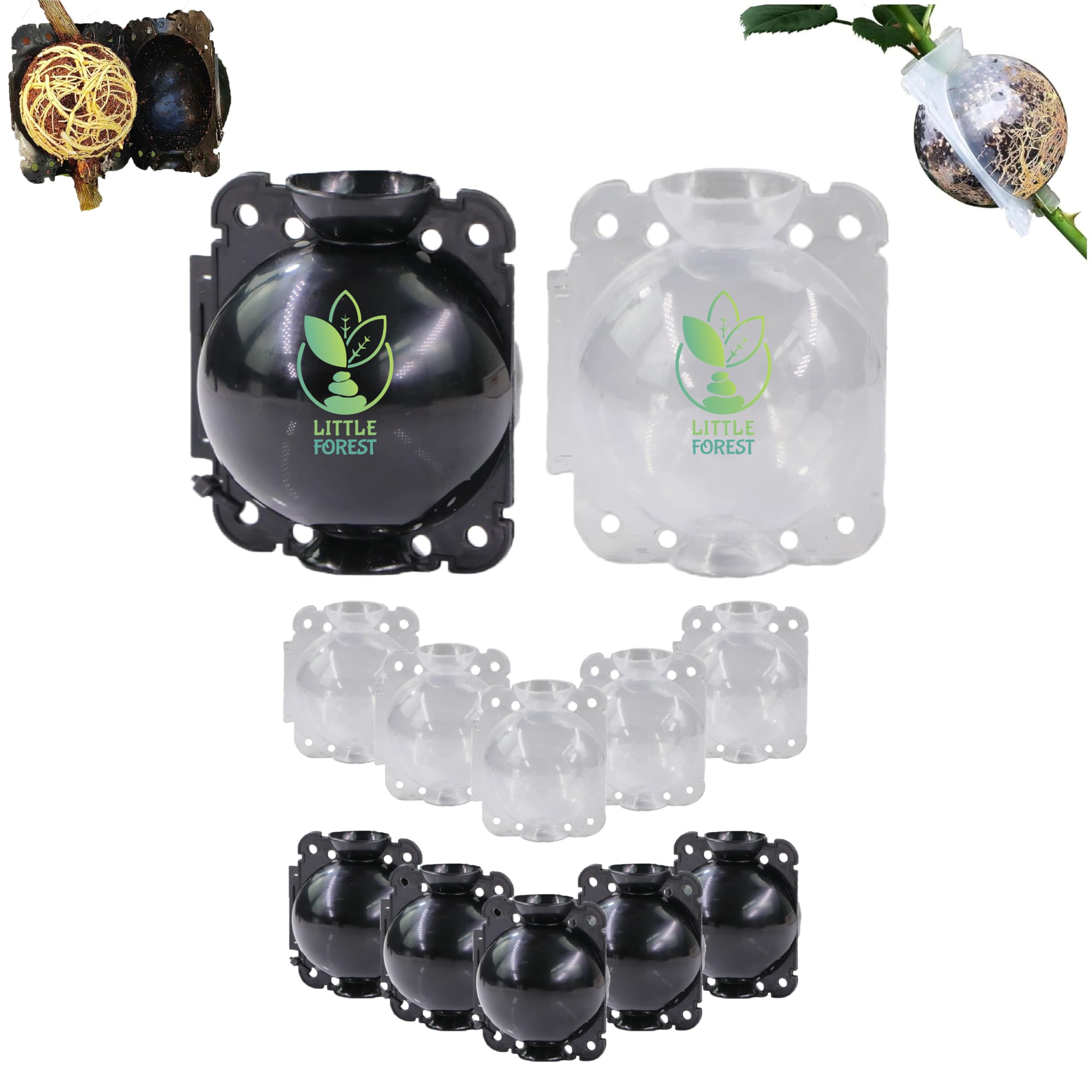 Little Forest - 2 Inch Transparent & Black COMBO Plastic Rooting Ball, Plant Rooting Propagation Ball, Faster Root growth, 100% Virgin plastic, reusable, Selflocking (Black - 5pcs, Transparent - 5pcs)-picture-12