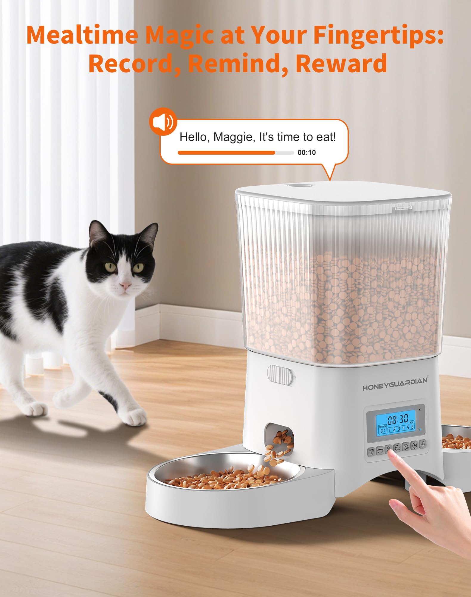 HONEYGUARIDAN Alimentatore automatico per gatti 2 gatti, alimentatore automatico per gatti da 3,5 L con timer, controllo delle porzioni programmabile (1-6 pasti al giorno), registrazione accompagnata