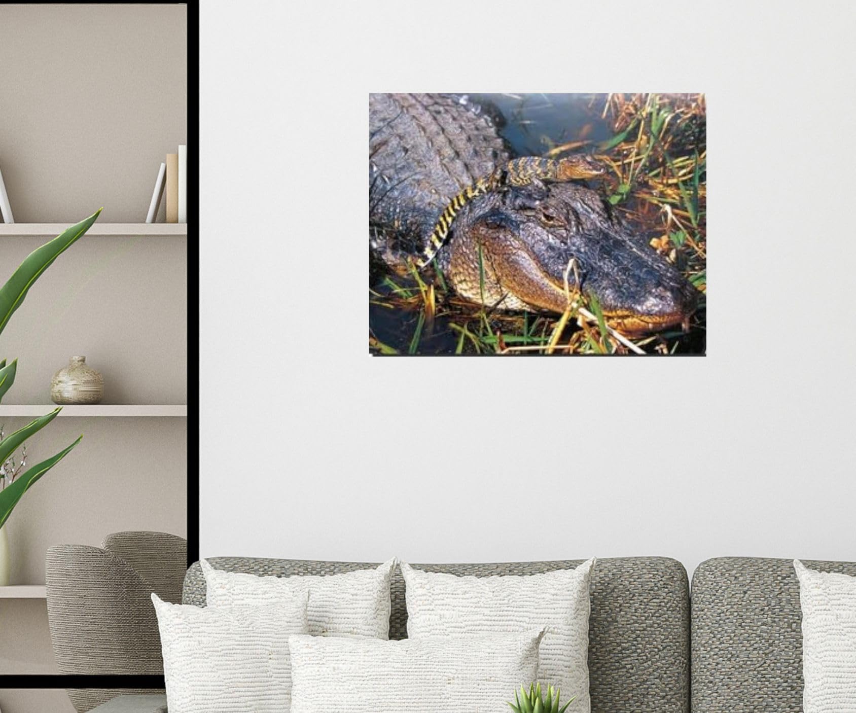 Amazon.com: Impact Posters Gallery Wild Animal Wall Decor Picture