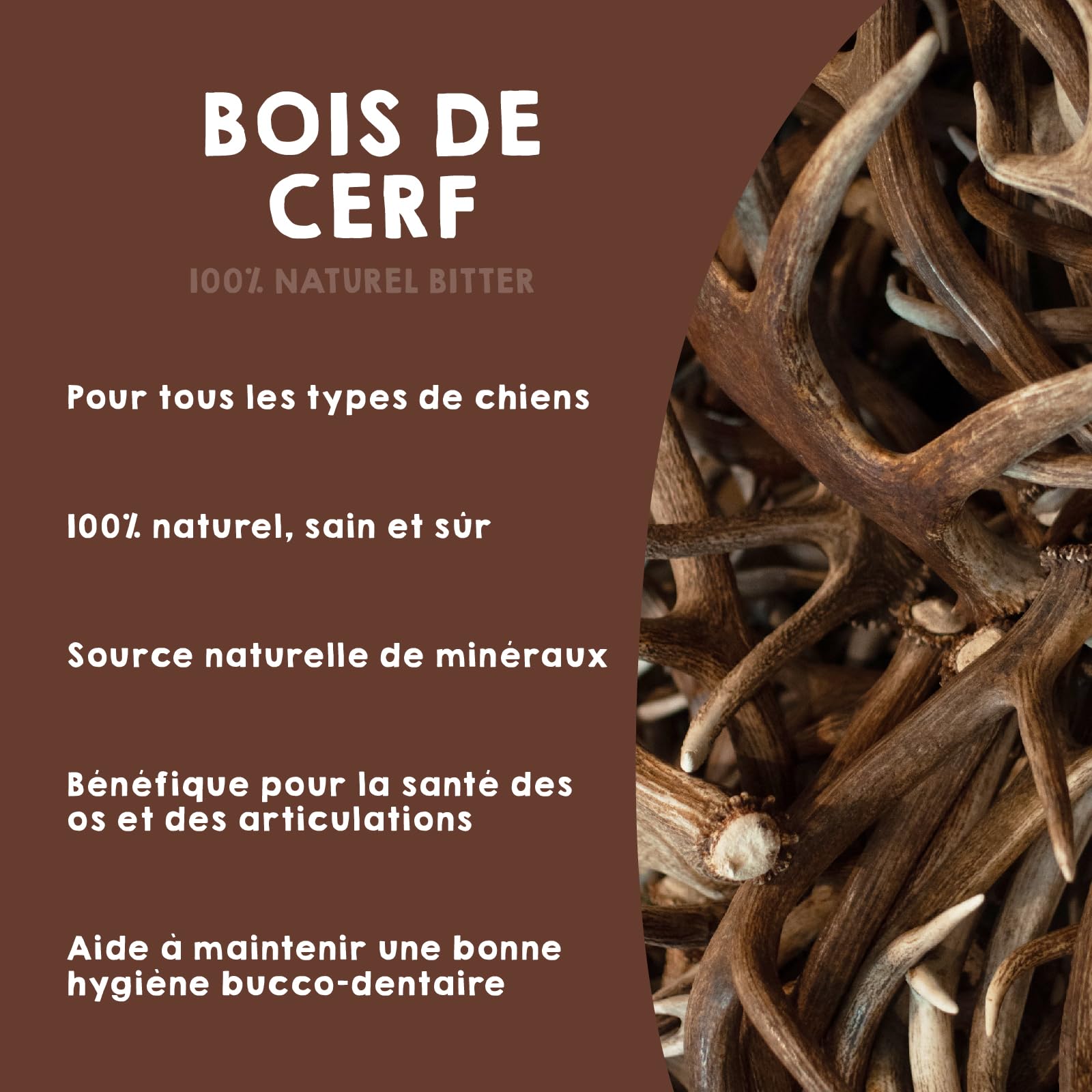 Bois de Cerf pour Chien Taille L Corne Mastication Naturel Longue Durée Jouet a Macher Favorise l´Hygiéne Dentaire et Améliore Cueilli dans la Nature 21-34 kg – Maikai