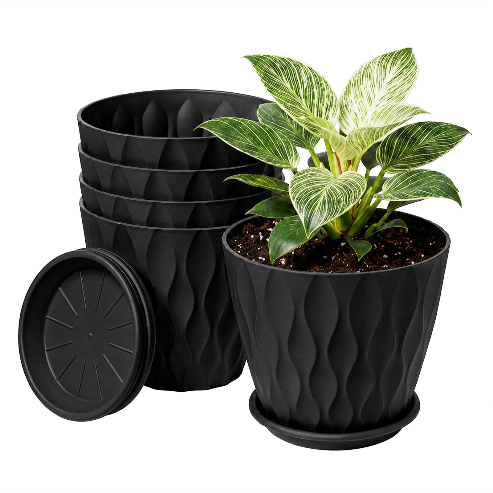 TOQUE Plant Pots,5Pc 20cm Plant Pots Indoor,Drainage,PP Plastic,Black